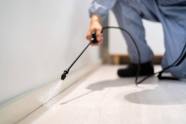 Licensed Pest Control service in Lagunitas-Forest Knolls, CA - Show Me Pest Control