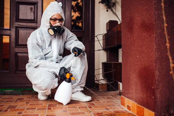 Multi-Unit and Airbnb Bed Bug Protocol in Lagunitas-Forest Knolls