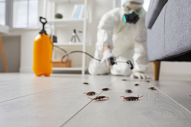 Post-Treatment Bed Bug Interceptor Monitoring in Lagunitas-Forest Knolls