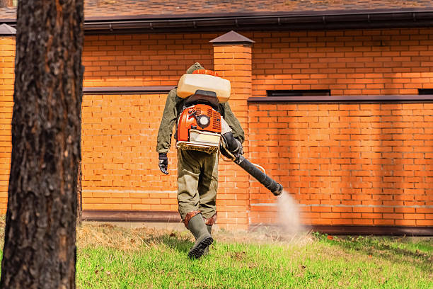 Bed Bug Clearance Verification and Documentation in Lagunitas-Forest Knolls